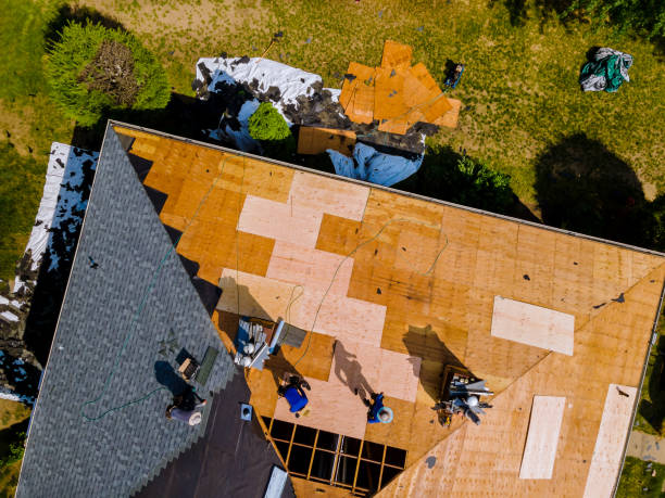 Best Roof Gutter Cleaning  in Wareham Center, MA